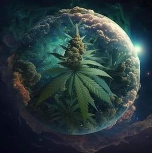 Meet your Posher, Ivy